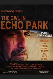 The Owl in Echo Park